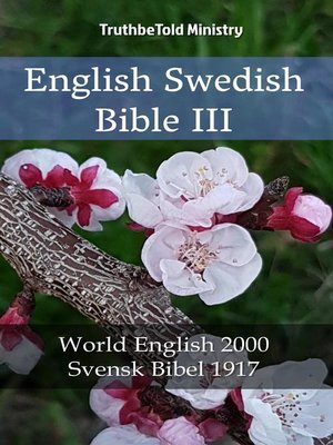 cover image of English Swedish Bible III